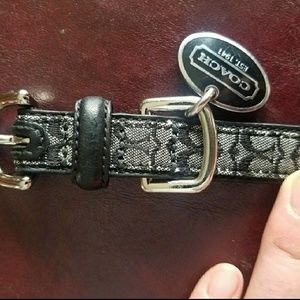Coach dog collar